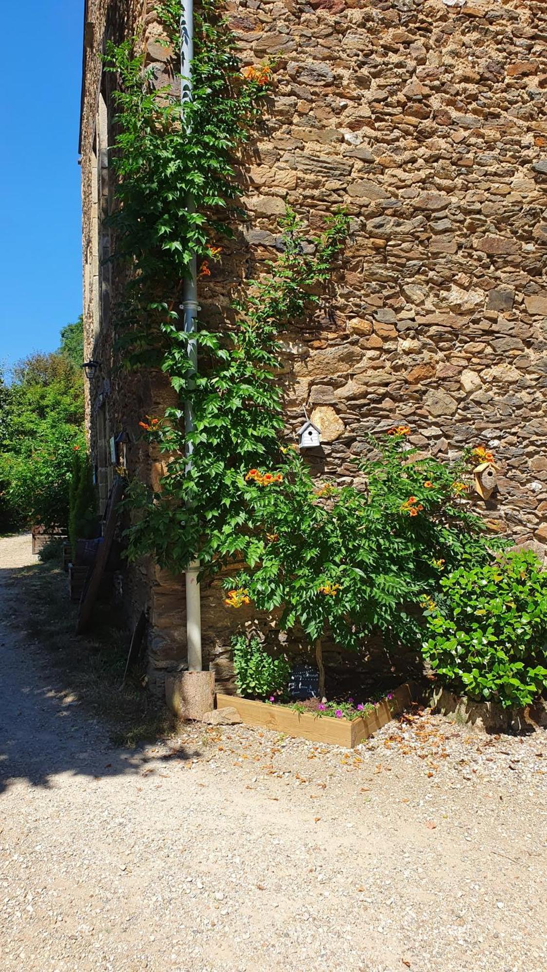 La Ferme Des Andes - Gite L'Atelier Quins Εξωτερικό φωτογραφία