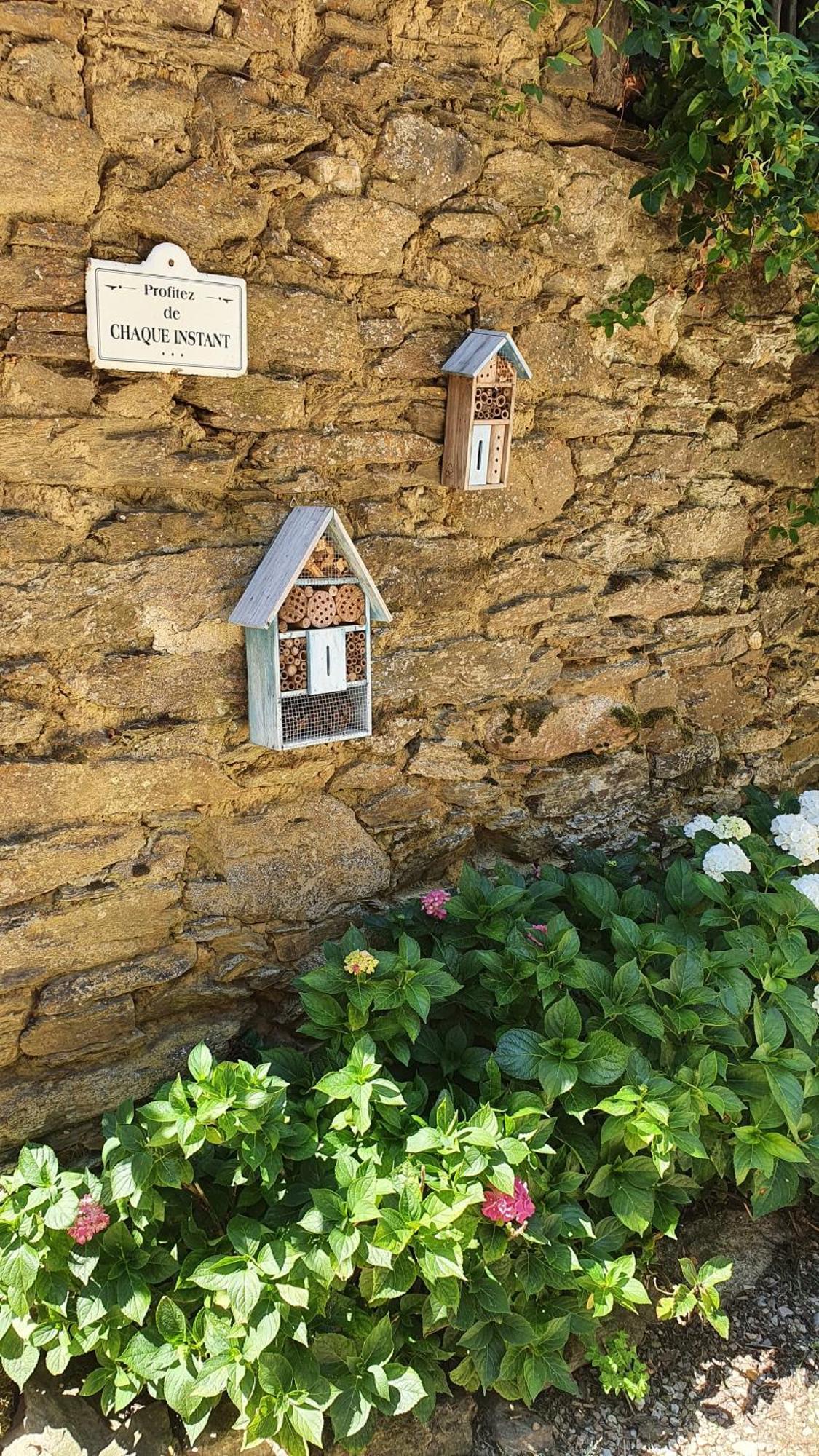 La Ferme Des Andes - Gite L'Atelier Quins Εξωτερικό φωτογραφία