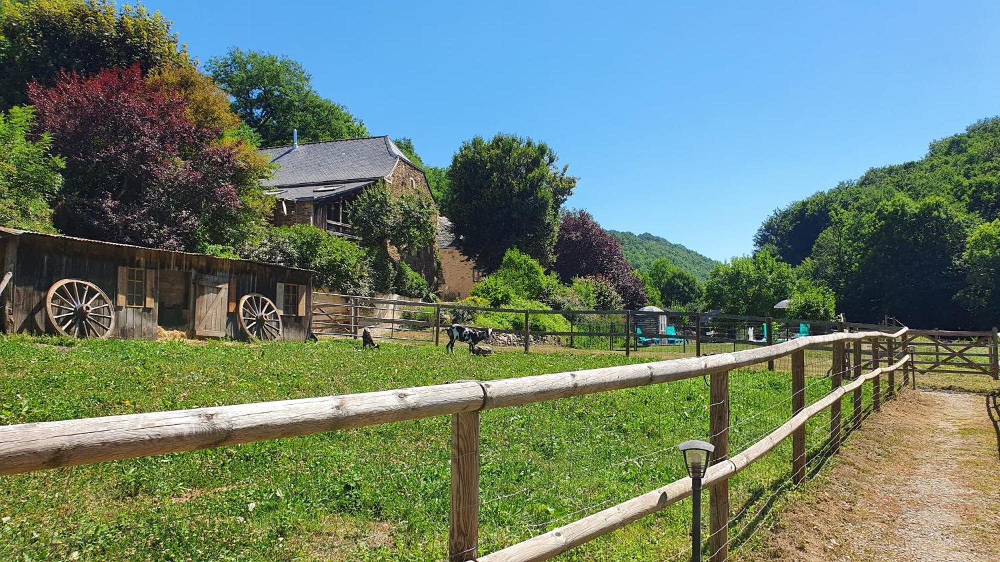 La Ferme Des Andes - Gite L'Atelier Quins Εξωτερικό φωτογραφία