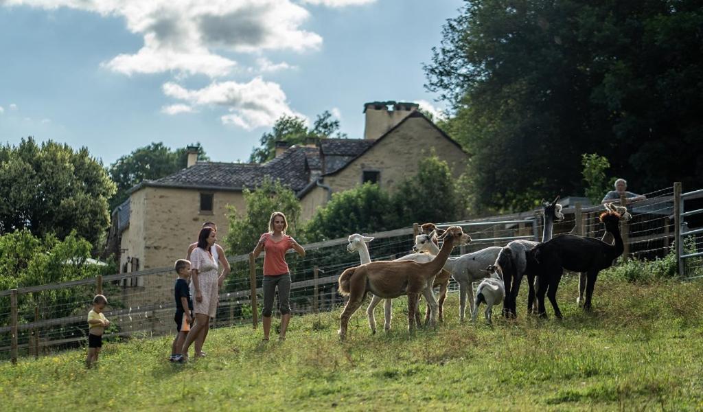 La Ferme Des Andes - Gite L'Atelier Quins Εξωτερικό φωτογραφία