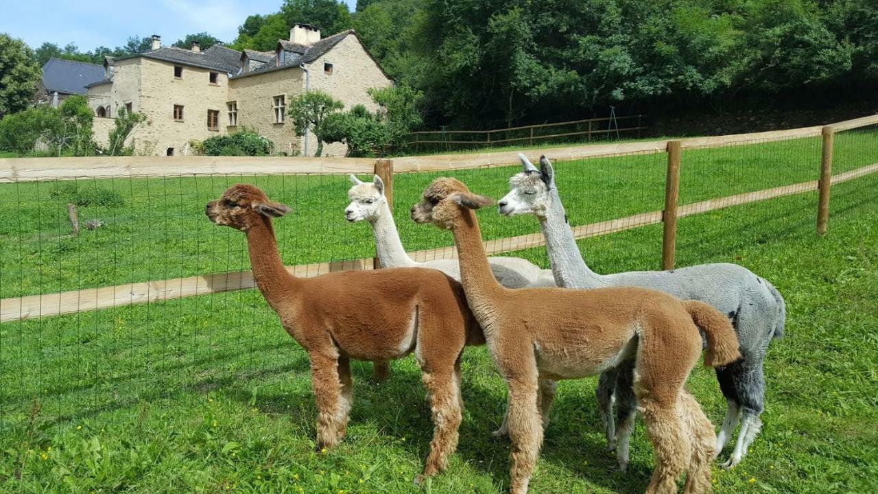 La Ferme Des Andes - Gite L'Atelier Quins Εξωτερικό φωτογραφία