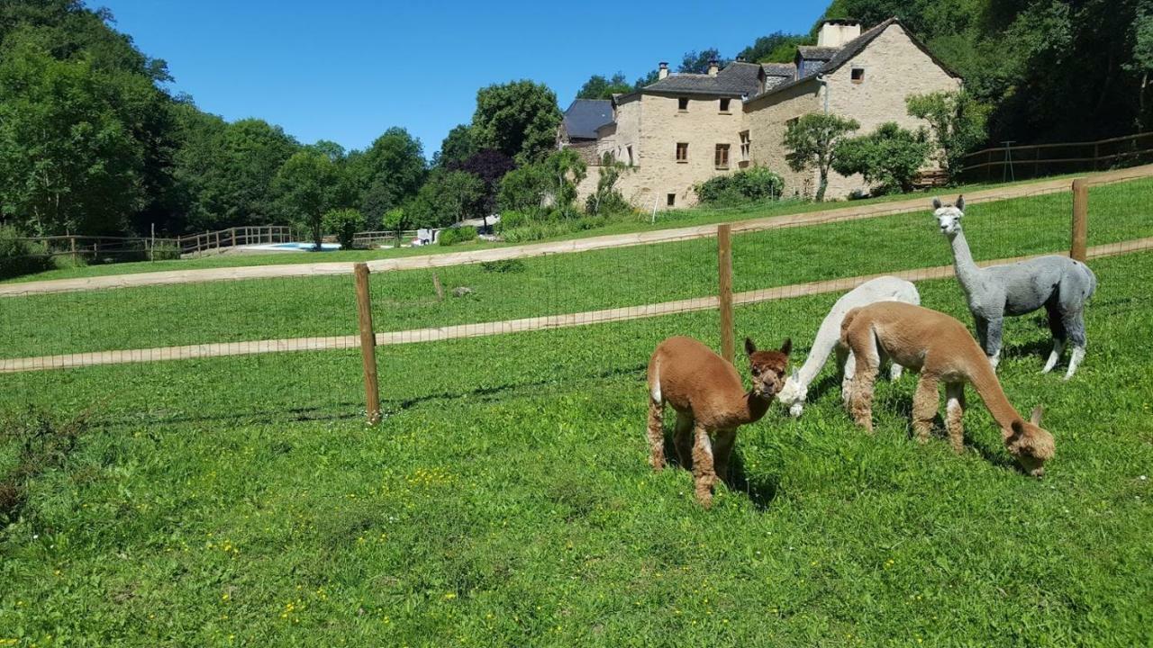 La Ferme Des Andes - Gite L'Atelier Quins Εξωτερικό φωτογραφία