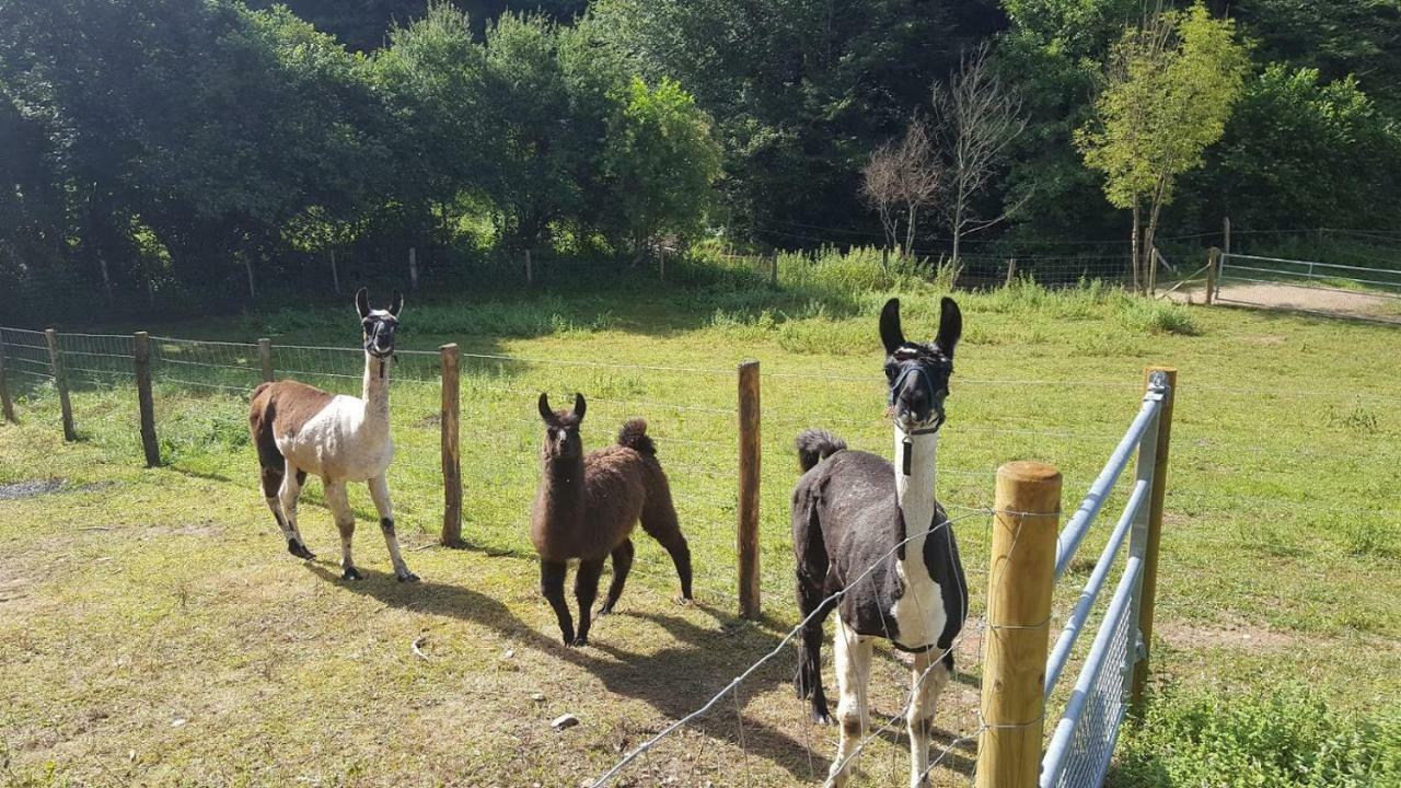 La Ferme Des Andes - Gite L'Atelier Quins Εξωτερικό φωτογραφία
