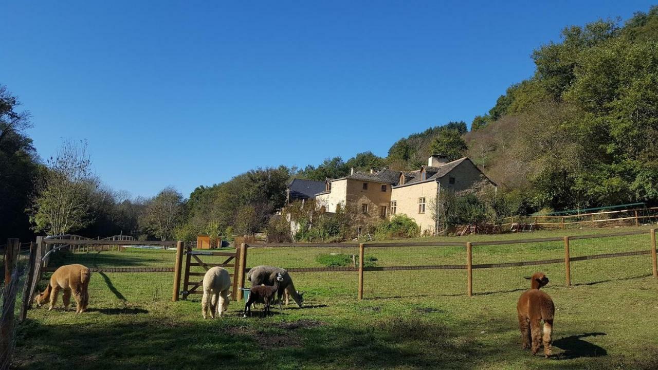 La Ferme Des Andes - Gite L'Atelier Quins Εξωτερικό φωτογραφία